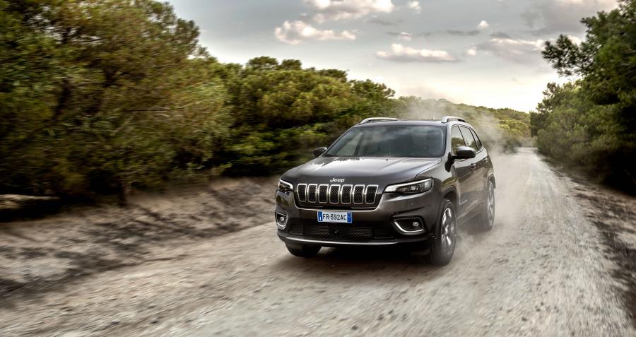  Jeep Cherokee Limited (KL) 2018 года  (WW) (фото 31 из 48)
